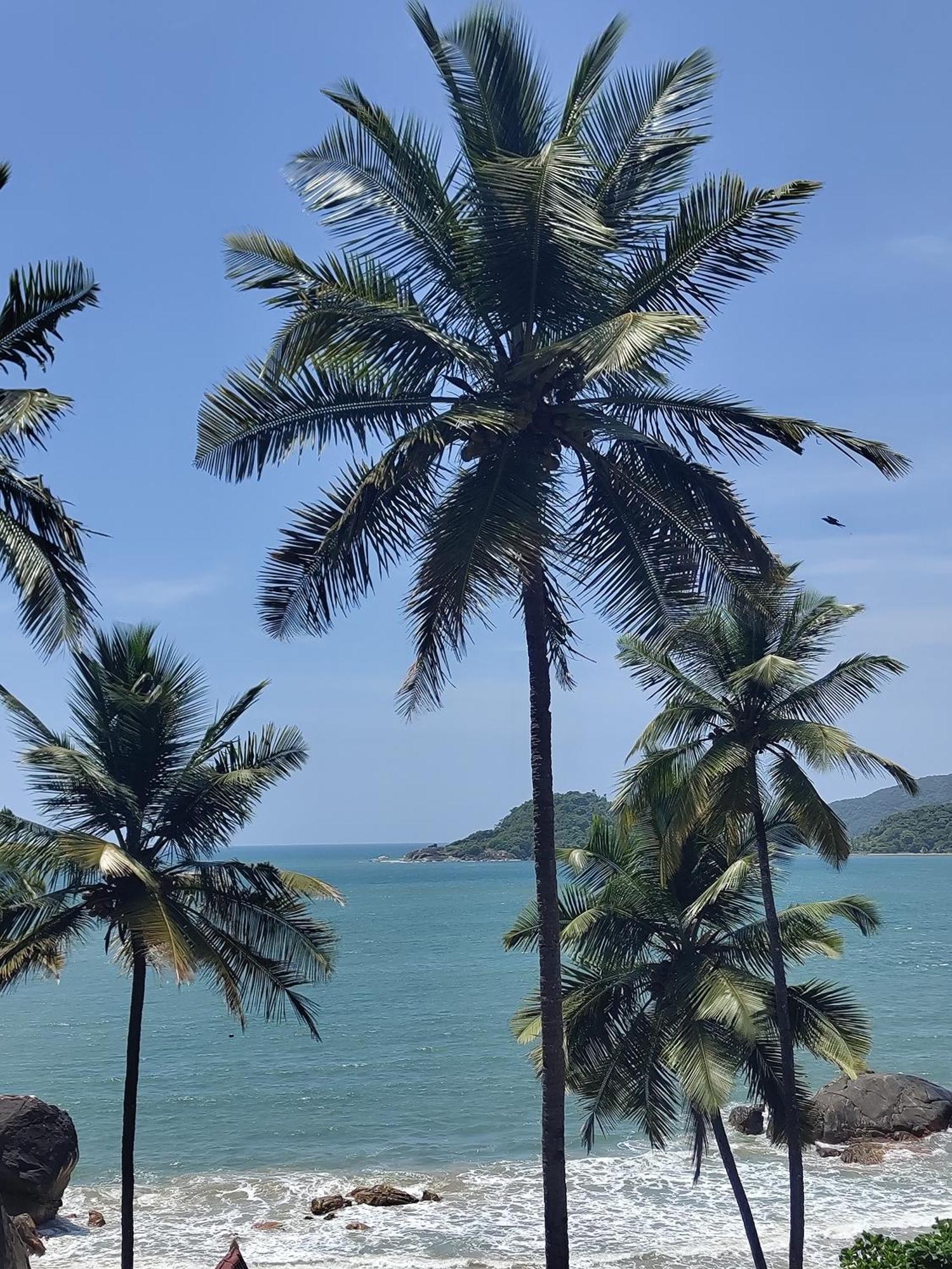 Hilltop Seaview Palolem Goa Hotel Exterior foto