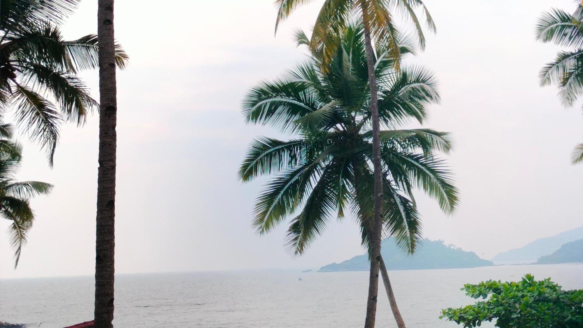 Hilltop Seaview Palolem Goa Hotel Quarto foto